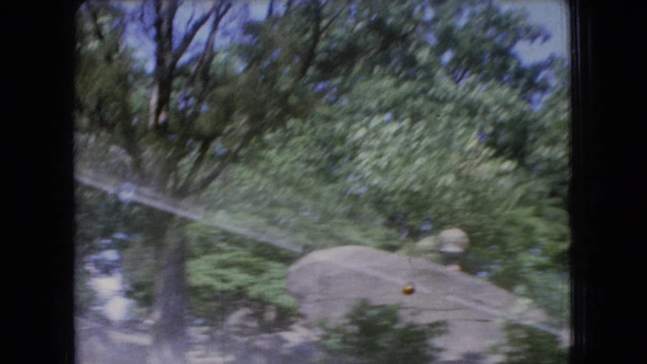 1966 Ohio 8mm frame of trees, brush, and rounded roadside rocks seen from a moving car, with soft focus and visible film wear.