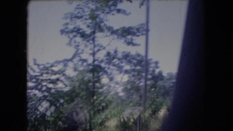 1966 Ohio 8mm frame looking past roadside trees and brush, with soft blue-green color, handheld movement, and visible film borders.