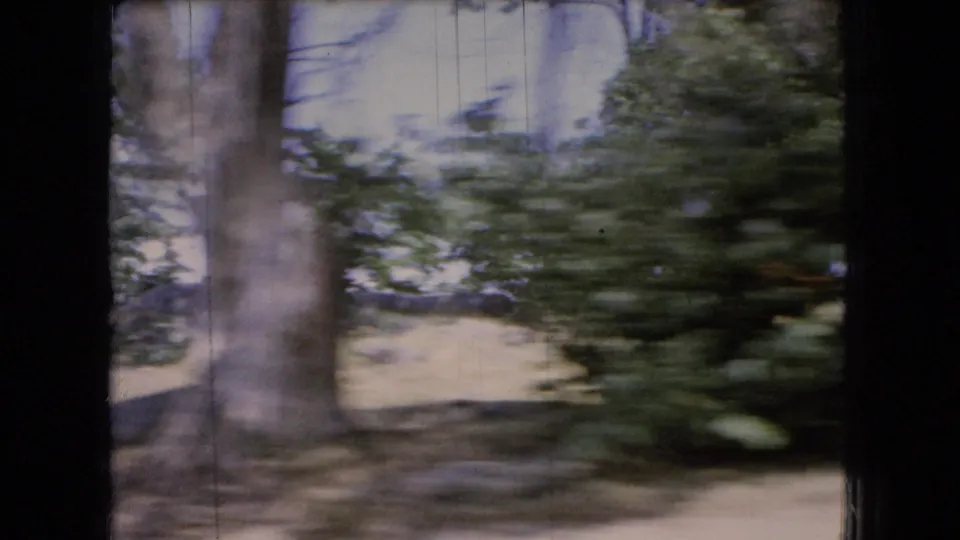 1966 Ohio 8mm frame showing leafy trees, brush, and dry ground passing by from a moving vehicle, with dark vertical frame edges and visible film wear.