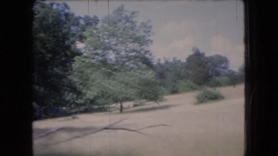 1966 Ohio 8mm frame showing open dry grass or earth with scattered trees and low vegetation, filmed with soft focus and vehicle-motion blur.