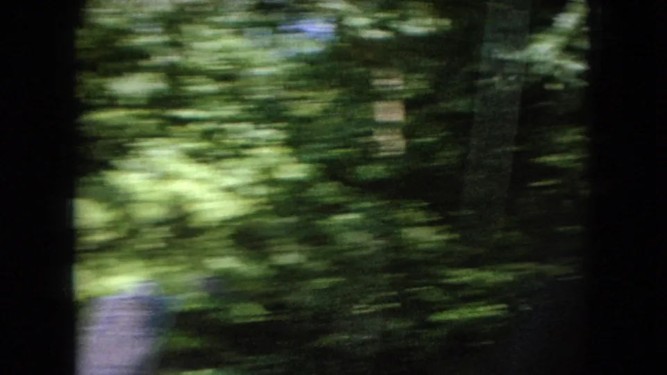 Passenger-view 8mm frame of dense green roadside vegetation rushing past, with strong motion blur and dark car-window edges from the 1966 Ohio travel footage.