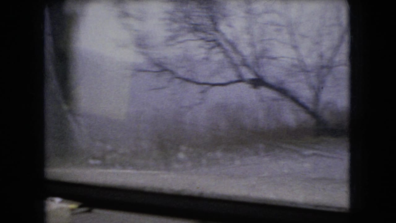 1966 Ohio home-movie frame looking through the windshield at bare roadside branches, muted sky, and blurred rural terrain during a moving-car shot.