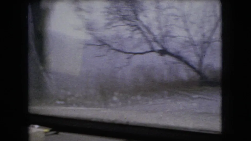 1966 Ohio home-movie frame looking through the windshield at bare roadside branches, muted sky, and blurred rural terrain during a moving-car shot.