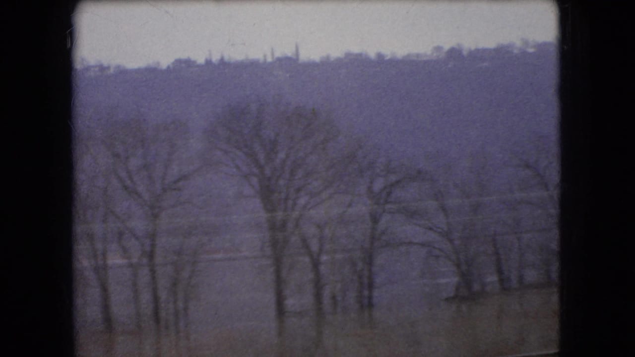 Leafless trees stand before a distant wooded hillside.