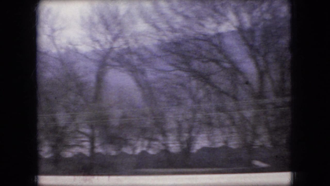 Leafless trees and pale sky viewed past a dark vertical window divider.