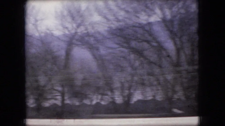 Leafless roadside trees and a pale sky pass behind a dark vertical window divider in the moving 1966 Ohio 8mm shot.
