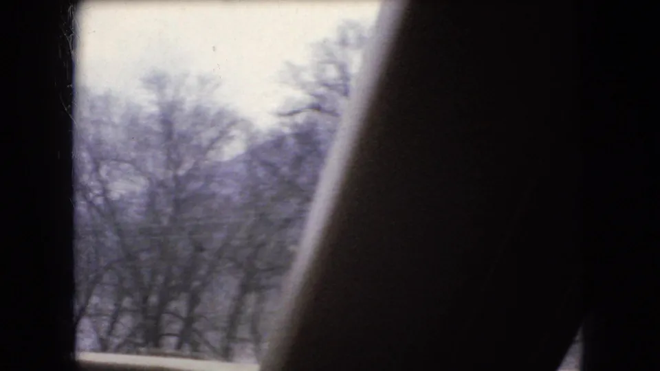 A blurred cluster of bare trees is partially blocked by the vehicle window frame, emphasizing the passenger-shot home-movie perspective.