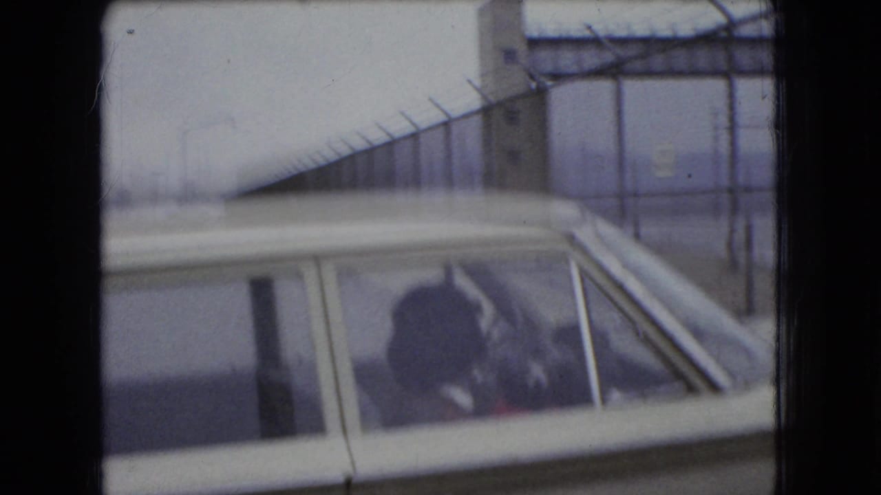 Person seated in a station wagon with a small dog visible through the side window.