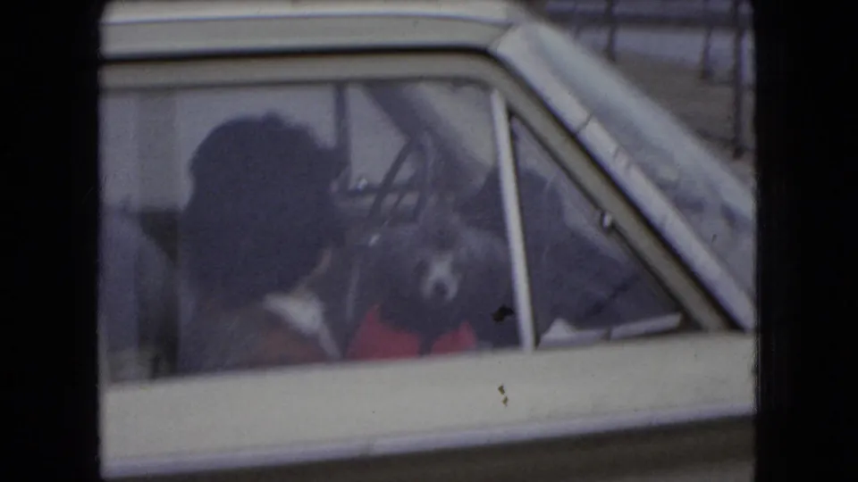The small fluffy dog wearing a red sweater sits beside a person inside the light-colored station wagon, seen through soft reflective glass.