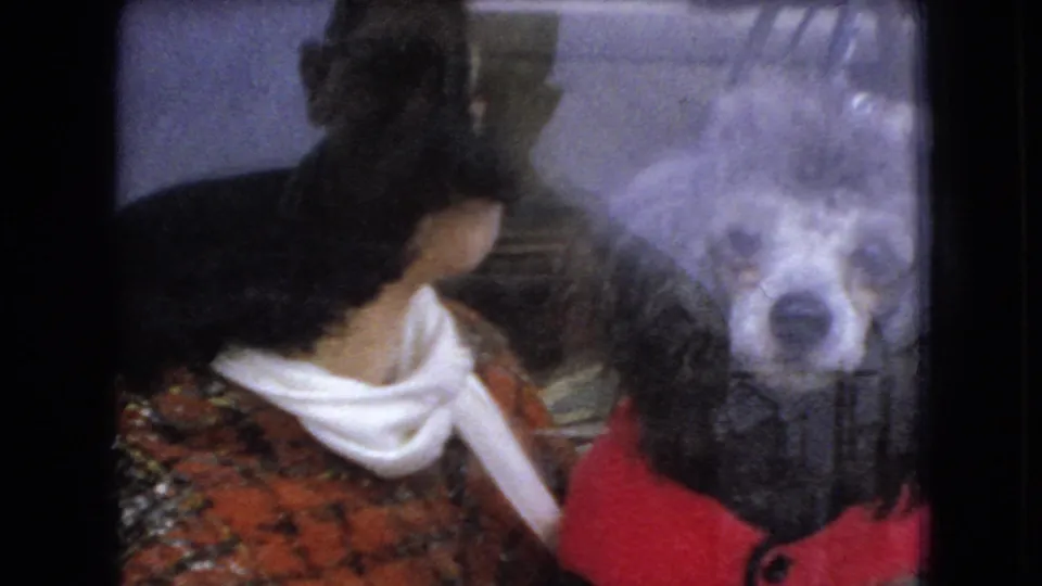 In 1966 Ohio home-movie footage, a woman in a patterned sweater and white scarf sits inside a car beside a poodle-like dog, viewed through reflective window glass.