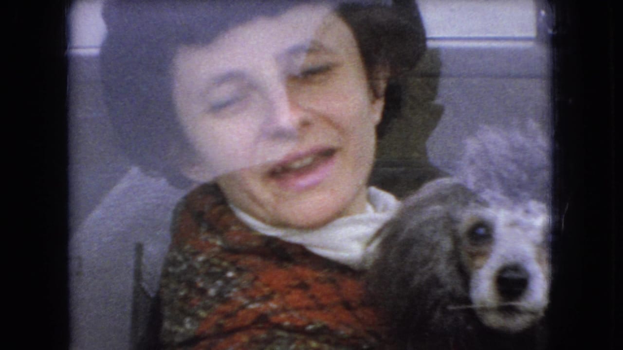 The woman smiles or speaks beside a poodle-like dog inside the car, with reflections across the glass softening the 1966 Ohio home-movie frame.