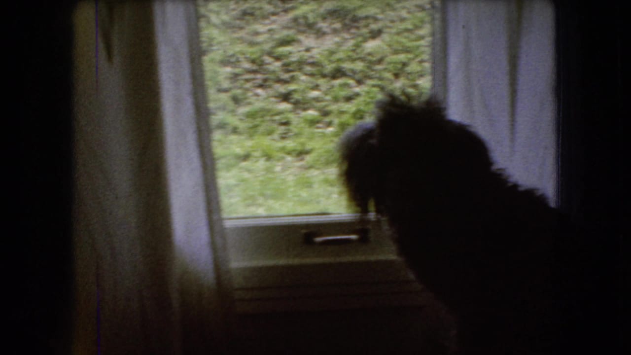 Dark dog silhouette inside an Ohio home-movie scene, positioned beside a curtained window with a grassy yard visible outside.