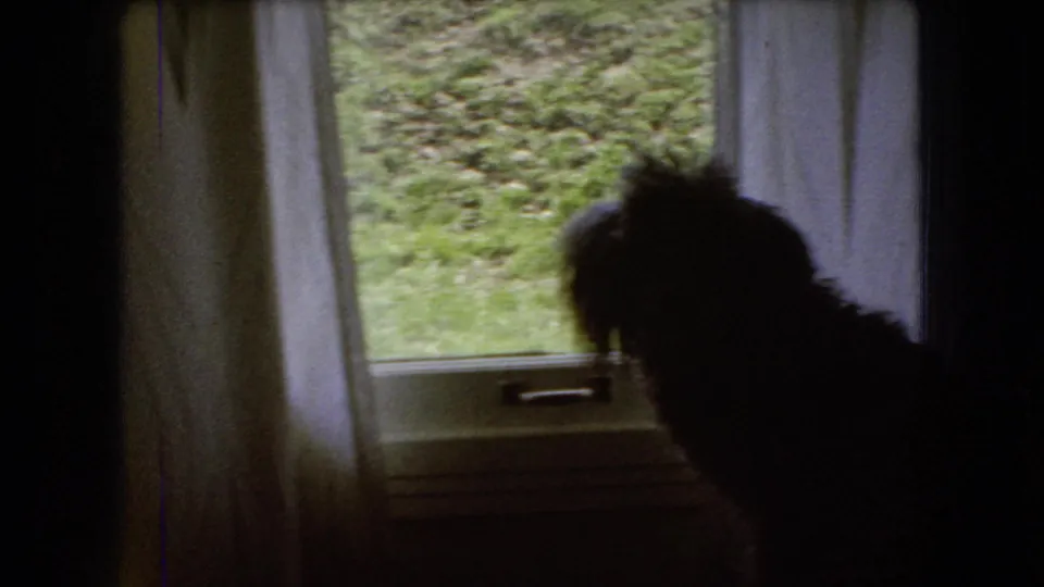 Dark dog silhouette inside an Ohio home-movie scene, positioned beside a curtained window with a grassy yard visible outside.