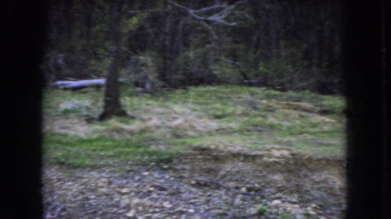 1966 Ohio 8mm home-movie frame showing a grassy dirt clearing bordered by trees, viewed through dark vertical framing with a fallen log at left.