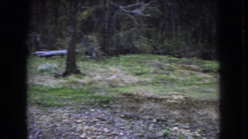 1966 Ohio 8mm home-movie frame showing a grassy dirt clearing bordered by trees, viewed through dark vertical framing with a fallen log at left.