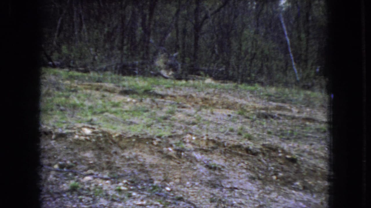 1966 Ohio home-movie view of a muddy, uneven clearing with patchy grass and dense trees beyond, partially obscured by dark window-like borders.