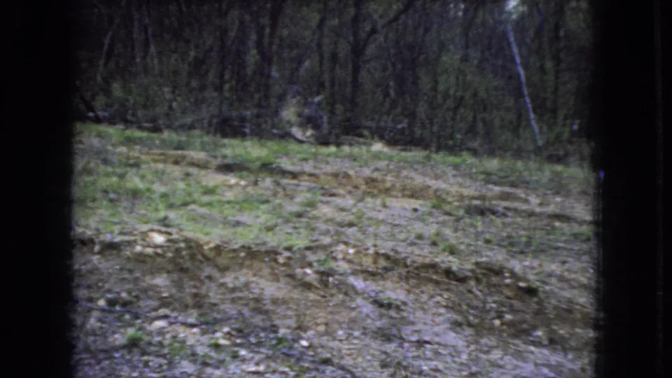 1966 Ohio home-movie view of a muddy, uneven clearing with patchy grass and dense trees beyond, partially obscured by dark window-like borders.