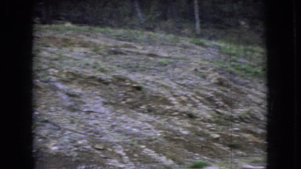 1966 Ohio 8mm frame showing rutted muddy ground, scattered leaves, sparse grass, and a wooded background from a low observational angle.