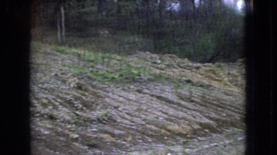 1966 Ohio home-movie frame with a muddy track crossing a grassy wooded clearing, framed by dark edges and dense brush in the background.