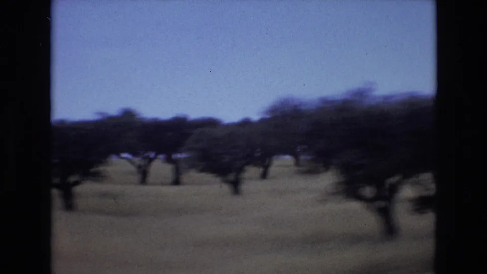 1972 Portugal home-movie frame with scattered trees, dry grassland, pale sky, grain, and handheld moving-vehicle blur.