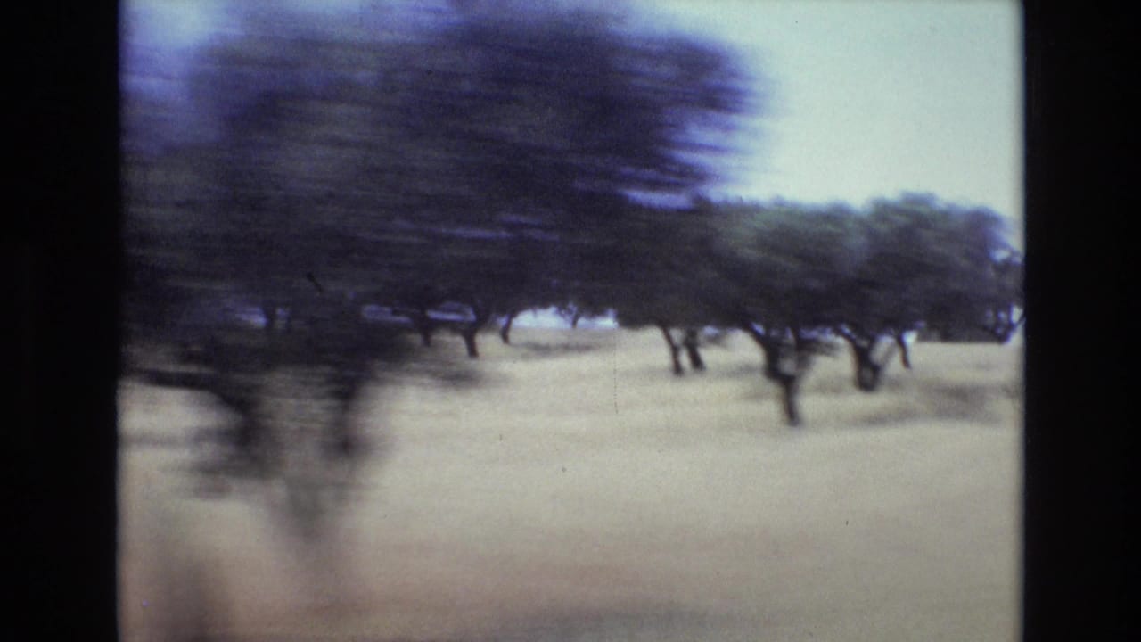 1972 8mm home-movie frame showing blurred scattered trees and pale grassland from a moving vehicle in a savanna-like landscape.