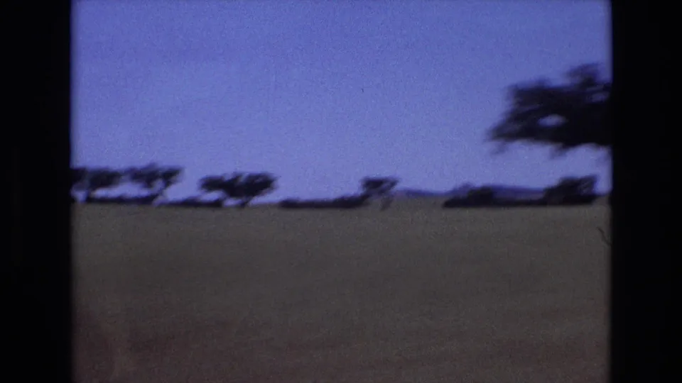 1972 8mm home-movie frame with open savanna-like field, low scattered trees, blue sky, and dark contact-sheet borders.