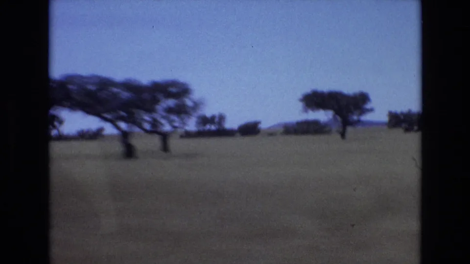 1972 8mm travel frame showing scattered trees on a broad flat plain, with faded color and slight blur from the moving camera.