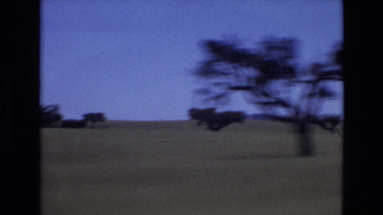 1972 Portugal rural landscape frame with an open field, distant tree line, and foreground trees blurred by travel motion.