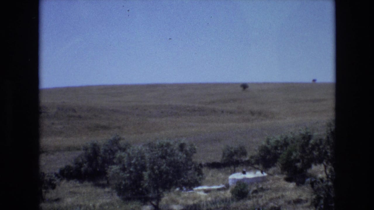Low shrubs and pale rural structures at the edge of a broad open plain.