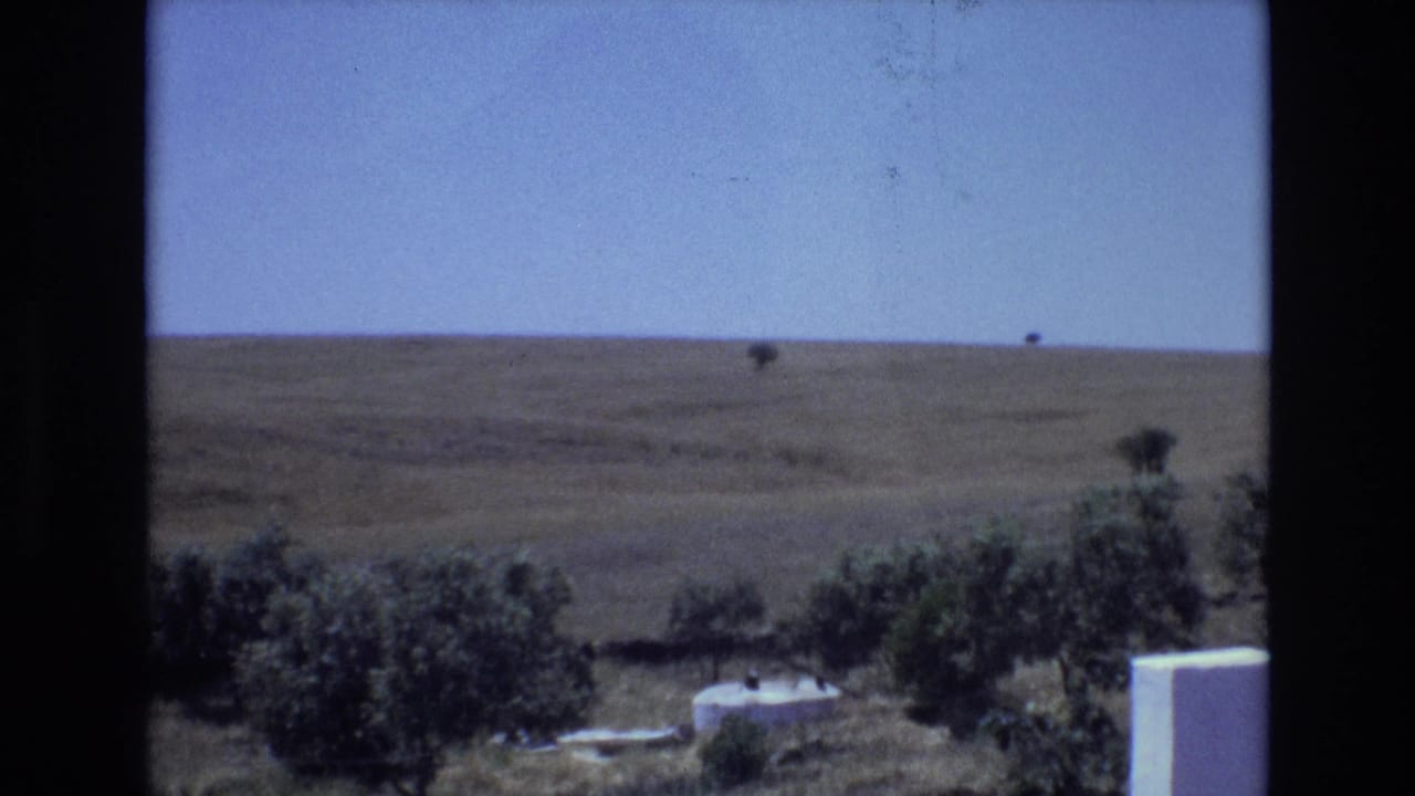 1972 Portugal 8mm frame showing a dry rural hillside beneath a clear blue sky, with dark green foreground trees and pale low structures near the bottom edge.