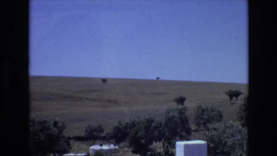 1972 Portugal 8mm frame looking across dark foreground trees toward a dry golden-brown hillside with a few scattered trees under a clear sky.