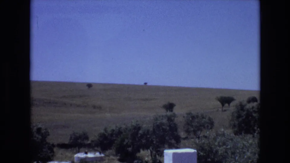 1972 Portugal countryside frame showing a dry sloping hill with sparse trees, leafy foreground vegetation, and small white structures partly visible along the bottom edge.