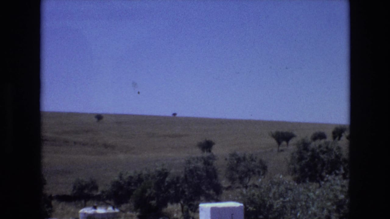 1972 Portugal 8mm frame showing a broad grassy field beneath a clear blue sky, with scattered trees and low vegetation near the camera.