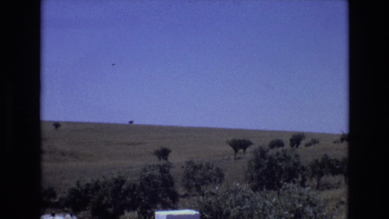 1972 Portugal home-movie view across open countryside, with scattered trees or shrubs breaking up a gently sloping grassy field.