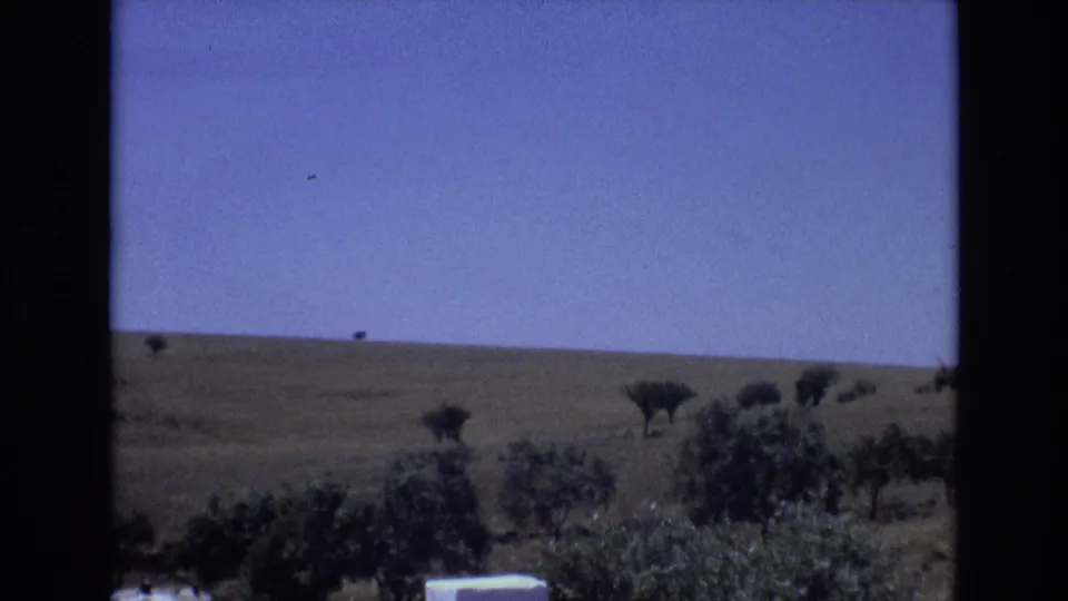 1972 Portugal home-movie view across open countryside, with scattered trees or shrubs breaking up a gently sloping grassy field.