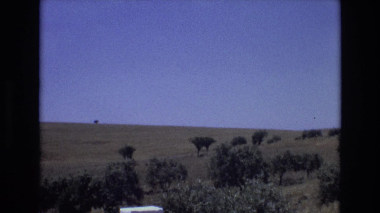 Grassy landscape with scattered trees and a small pale structure at the lower edge.