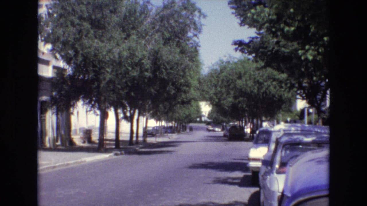 1972 Portugal home-movie frame of a sunlit residential road bordered by trees, parked cars, shaded sidewalk, and white low-rise building fronts.