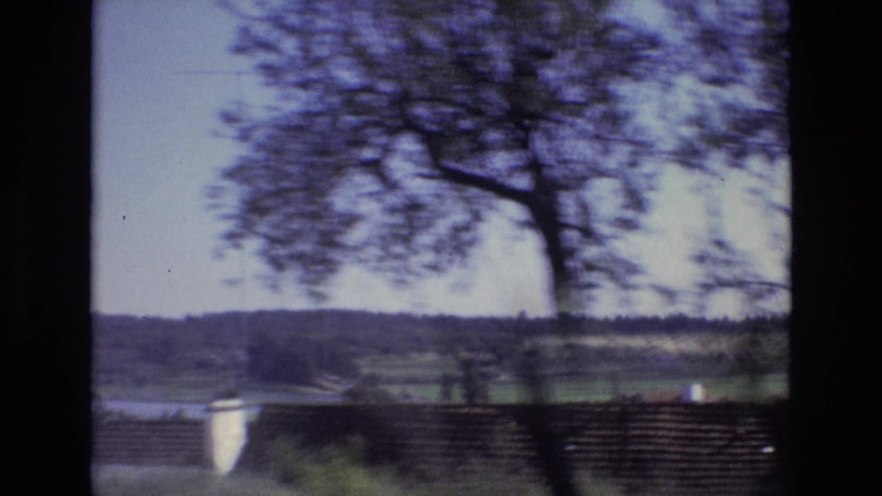 Tree, low wall, fields, and distant wooded hillside.