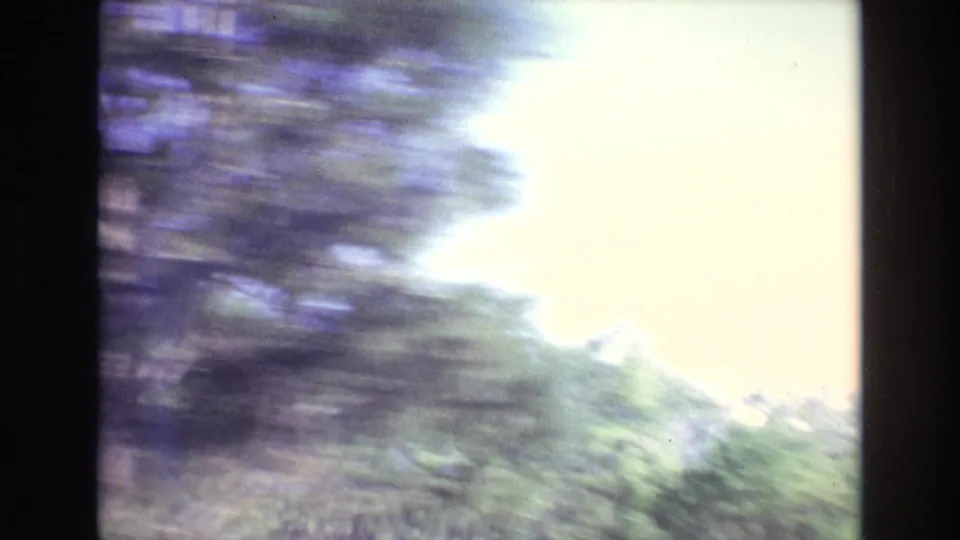 1972 Portugal travel frame with trees streaking past in motion blur beside a bright overexposed sky, suggesting filming from a moving car.