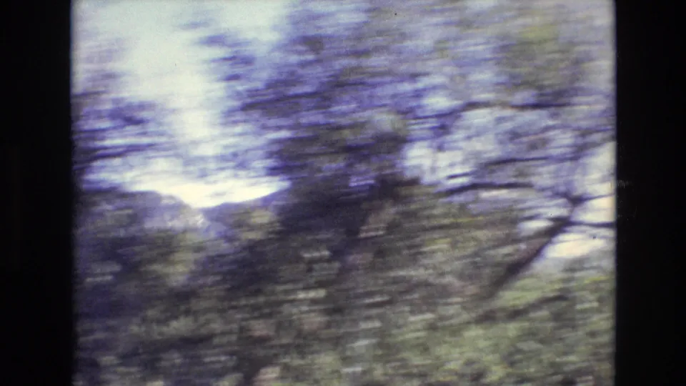 1972 Portugal home-movie frame with roadside trees and hillside streaked by vehicle motion, with mountains faintly visible behind the blur.