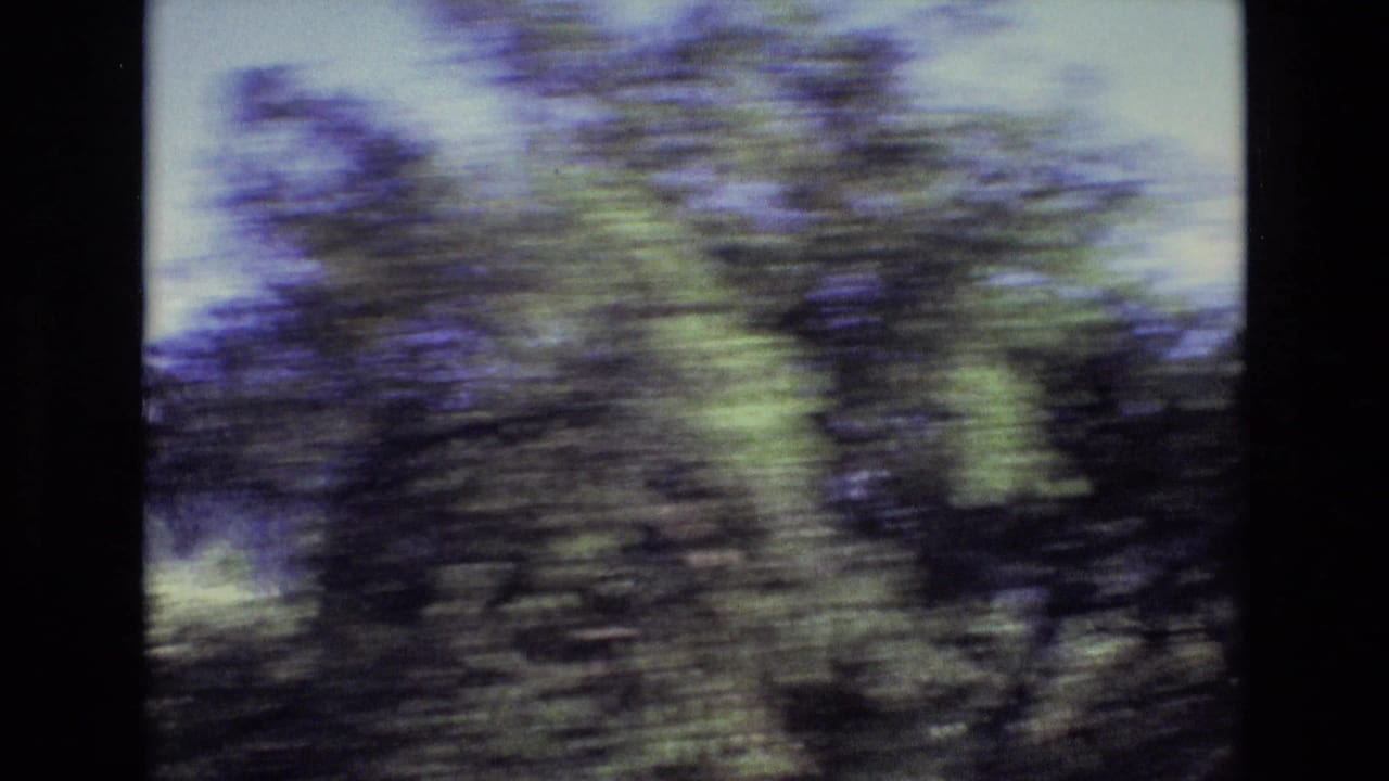 Dense roadside trees and greenery blurred by motion.
