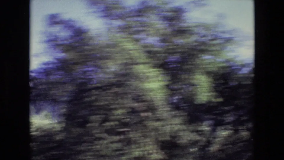Portugal 1972 travel footage frame showing dark roadside trees and green vegetation smeared by vehicle movement and aged film color shift.