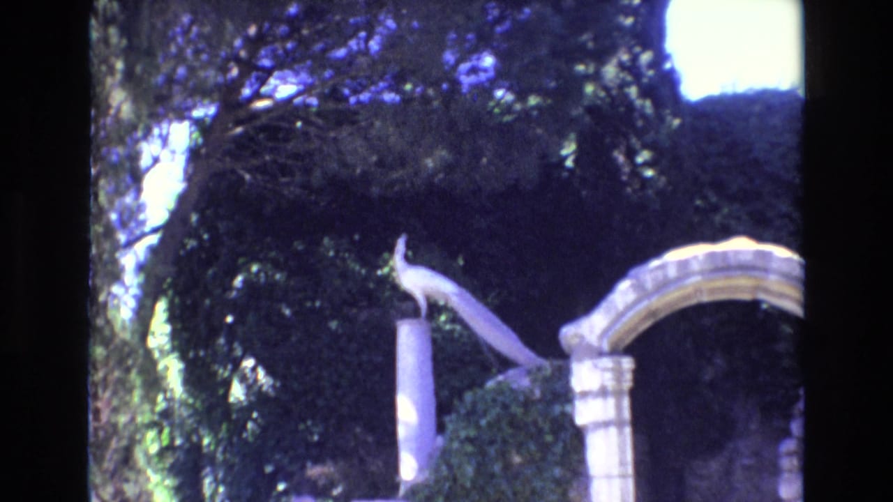 A 1972 Portugal home-movie frame shows a small bird perched on a pale stone column beside an arch, with dense trees in the background.