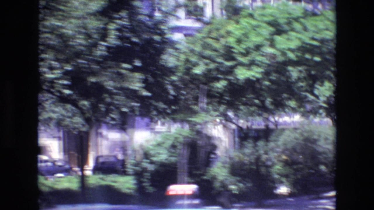 1972 Portugal 8mm frame from a moving vehicle showing leafy street trees, parked cars, and an apartment facade in bright sun.