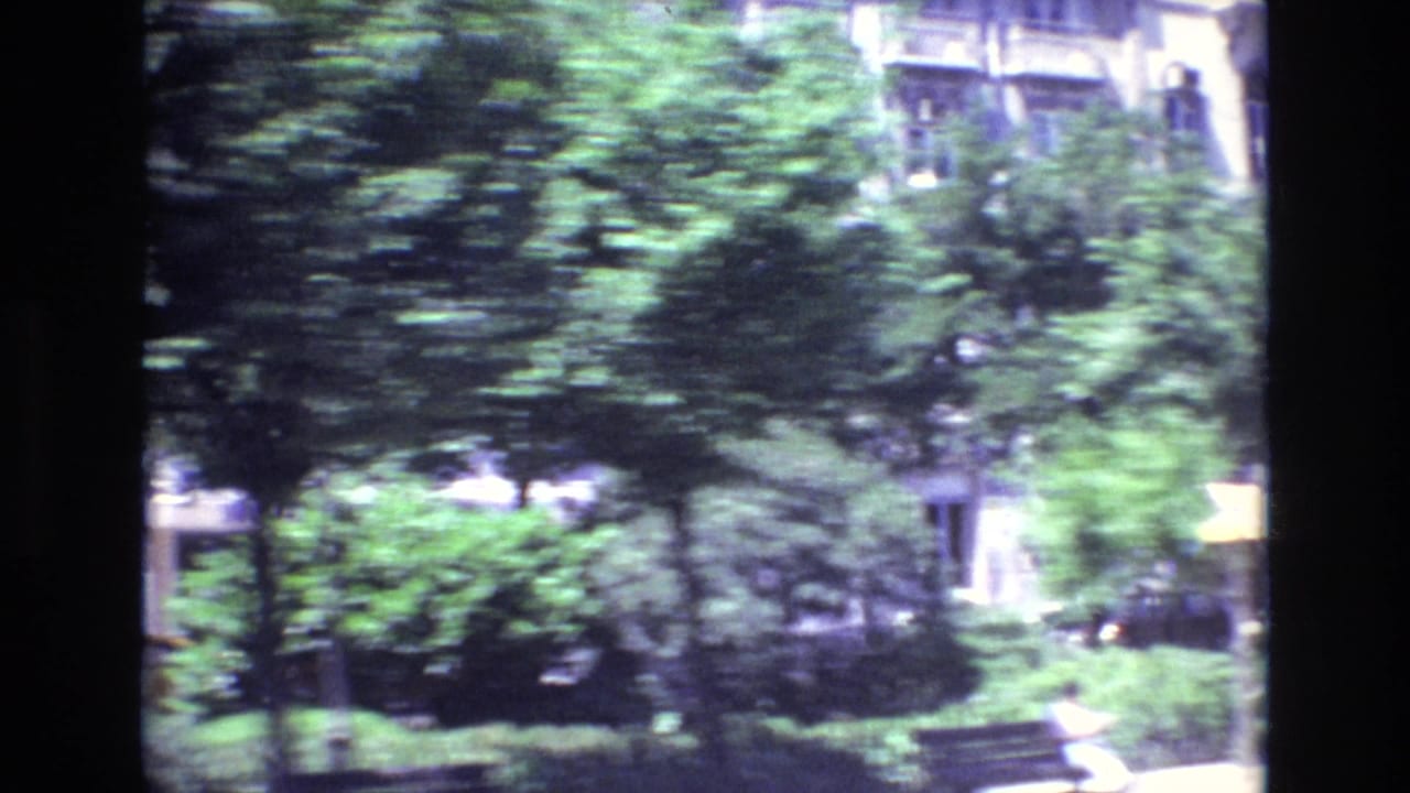 Green urban verge with trees, shrubs, sidewalk, and apartment windows in the background.