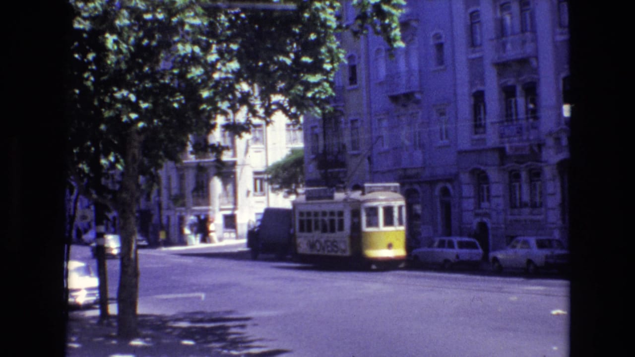 Trolley recedes near parked cars beneath dense tree shade on a city street.