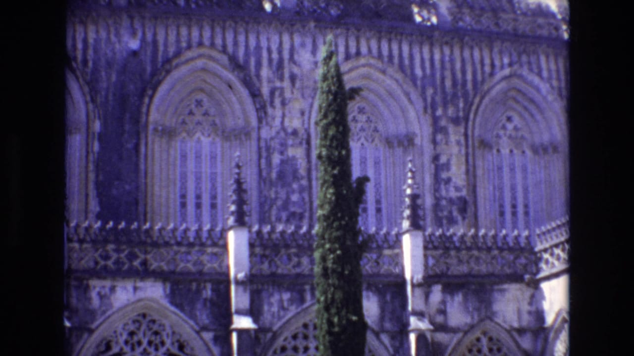 Another close view of arched stone windows with a cypress tree in front.