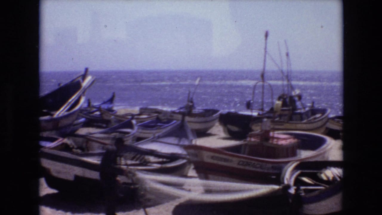 Fishing boats line the beach with the ocean behind them and a worker near the foreground.