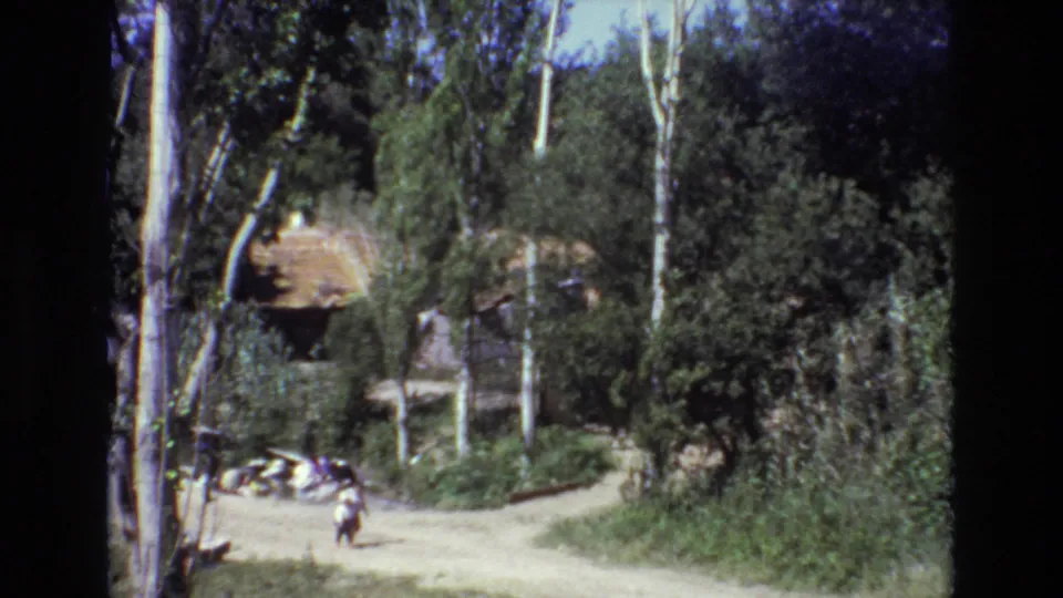 A brief 1972 Portugal home-movie view shifts away from the beach pose to a tree-lined outdoor area with distant people and dense greenery.