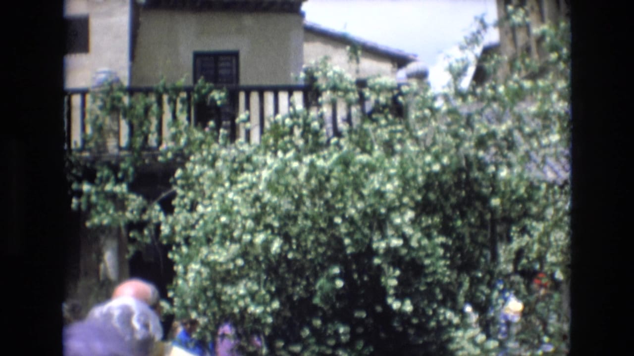 Crowd of visitors stands among trees in front of a balcony and pale building facade.
